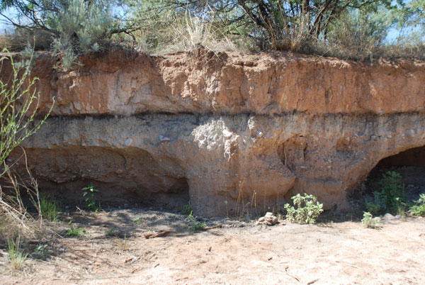 Fig. 5. The dark line shown above is the black mat (12.9 ka) along the arroyo wall of the Murray Springs Clovis site in Arizona. The YDB markers, including magnetic grains and microspherules, iridium, soot, and fullerenes with ET helium, are present in the few centimeters just below the black mat at the top of the underlying sediment. This lithologic break represents the surface at the end of the Clovis period before the formation of the black mat. Clovis artifacts, a fire pit, and an almost fully articulated skeleton of an adult mammoth were recovered at Murray Springs with the black mat draped conformably over them. Excavations by Vance Haynes, Jr., and colleagues also revealed hundreds of mammoth footprints in the sand infilled by black mat sediments. These footprints and the mammoth skeleton appear to have been preserved by rapid burial after the YDB event (1). No in situ Clovis points and extinct megafaunal remains have been recovered from in or above the black mat, indicating that the mammoths (except in isolated cases) and Clovis hunting technology disappeared simultaneously. 1. Haynes CV, Jr (1987) Centennial Field Guide Volume 1: Cordilleran Section of the Geological Society of America (Geolog Soc Am, Boulder, CO), Vol. 1, pp 23-28.